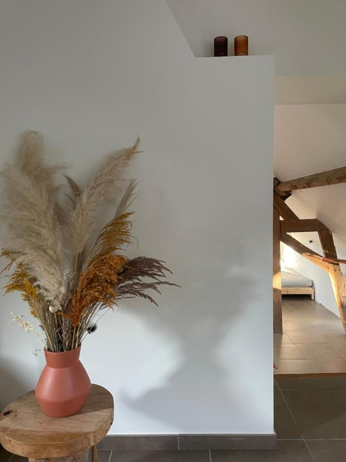 La Canopee Des Arbres, Juliette * Ellezelles
