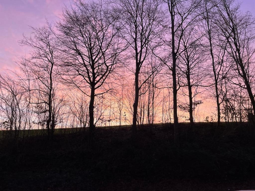 La Canopee Des Arbres, Juliette